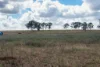 58 Remingtons Road, Murgon, Qld 4605-Image