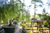 58 Taylor Road, Lisarow, NSW 2250-Image