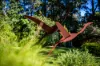 58 Taylor Road, Lisarow, NSW 2250-Image