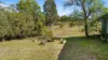 5835 Putty Road, Howes Valley, NSW 2330-Image