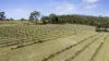 5835 Putty Road, Howes Valley, NSW 2330-Image