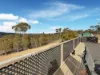 587 Mittagang Road, Binjura, NSW 2630-Image