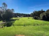 58B Pelling Close, Jaggan, Qld 4885-Image