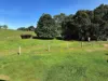 58B Pelling Close, Jaggan, Qld 4885-Image