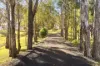 59-65 Littlefields Road, Mulgoa, NSW 2745-Image