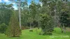 59 Dingo Gully Road, Grevillia, NSW 2474-Image