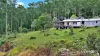 59 Dingo Gully Road, Grevillia, NSW 2474-Image