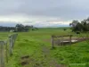 5911 Portland-Casterton Road, Sandford, Vic 3312-Image