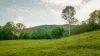592 Cedar Creek Road, Gheerulla, Qld 4574-Image