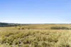 593 Knapp Creek Road, Knapp Creek, Qld 4285-Image