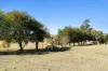593 Knapp Creek Road, Knapp Creek, Qld 4285-Image