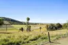 593 Knapp Creek Road, Knapp Creek, Qld 4285-Image