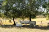 593 Knapp Creek Road, Knapp Creek, Qld 4285-Image