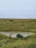 598 Mount Stanley Road, East Nanango, Qld 4615-Image