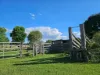 598 Mount Stanley Road, East Nanango, Qld 4615-Image