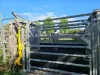 598 Mount Stanley Road, East Nanango, Qld 4615-Image