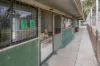 6 Cemetery Road, Cobram East, Vic 3644-Image