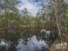 6 Moran Street, Gatton, Qld 4343-Image