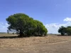 6 Semut Court, Moore Park Beach, Qld 4670-Image