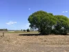 6 Semut Court, Moore Park Beach, Qld 4670-Image