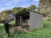60 Brown Road, Lake Eacham, Qld 4884-Image
