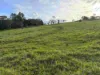 60 Brown Road, Lake Eacham, Qld 4884-Image