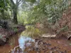 60 Brown Road, Lake Eacham, Qld 4884-Image