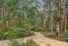 60 Chapman Road, Mount Toolebewong, Vic 3777-Image