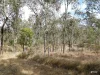 60 Chappell Road, Nanango, Qld 4615-Image