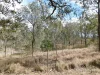 60 Chappell Road, Nanango, Qld 4615-Image