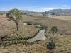 60 Grieves Road, Colinton, Qld 4314