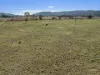 60 Grieves Road, Colinton, Qld 4314-Image