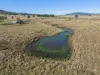 60 Grieves Road, Colinton, Qld 4314-Image
