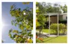 60 Iluka Circuit, Taree, NSW 2430-Image