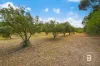 60 Mclennans Road, Clunes, Vic 3370-Image
