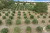 60 Mclennans Road, Clunes, Vic 3370-Image