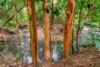 60 Speewah Road, Speewah, Qld 4881-Image