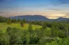 600 Pipeclay Road, Pipeclay Via, Beechwood, NSW 2446-Image