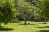 61 Booka Road, Upper Crystal Creek, NSW 2484-Image