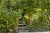 61 Booka Road, Upper Crystal Creek, NSW 2484-Image
