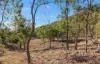 61 Hart Road, Thanes Creek, Qld 4370-Image
