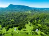61 Tallowood Road, Lillian Rock, NSW 2480
