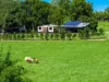61 Tallowood Road, Lillian Rock, NSW 2480-Image