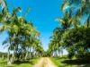 61 Tallowood Road, Lillian Rock, NSW 2480-Image
