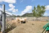 612 Geeberga Buthurra Road, Kuttabul, Qld 4741-Image