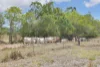 612 Geeberga Buthurra Road, Kuttabul, Qld 4741-Image