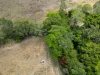 612 Geeberga Buthurra Road, Kuttabul, Qld 4741-Image
