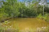612 Louis Bazzo Drive, Ringtail Creek, Qld 4565-Image
