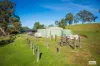 613 New Buildings Road, Wyndham, NSW 2550-Image