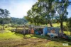 613 New Buildings Road, Wyndham, NSW 2550-Image